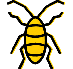 Cucarachas